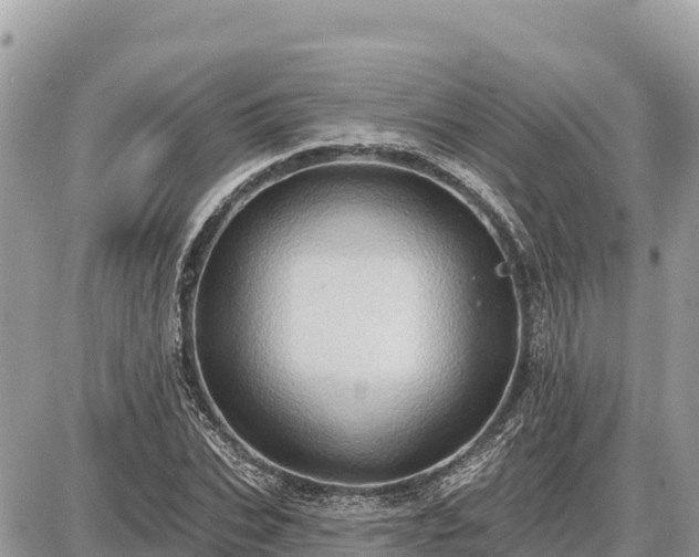 X0000087550927200705041324