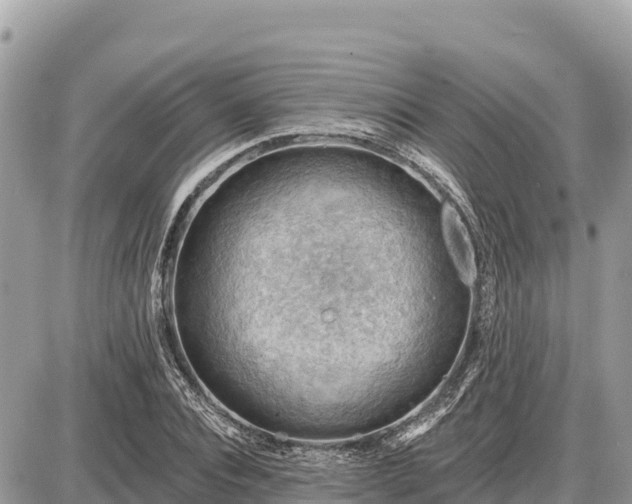 X0000087550928200705041324