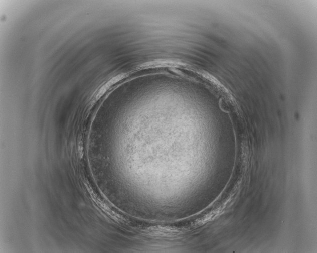 X0000087550929200705041324