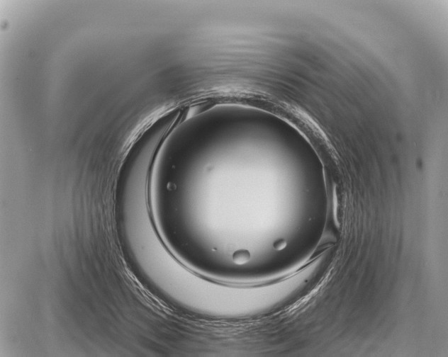 X0000087550930200705041324