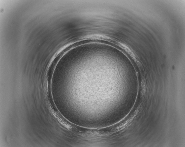 X0000087550931200705041324