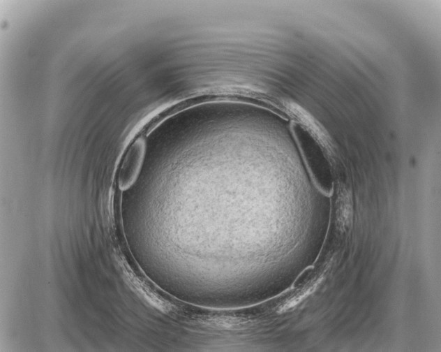 X0000087550932200705041324