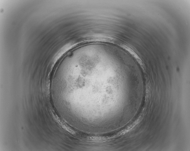 X0000087550933200705041324