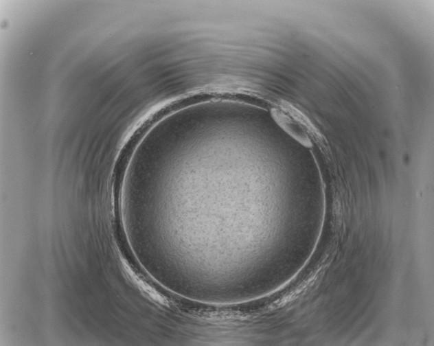 X0000087550934200705041324