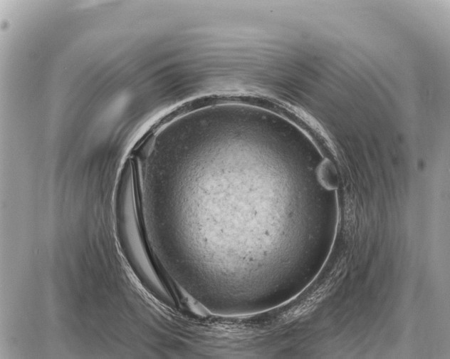 X0000087550935200705041324