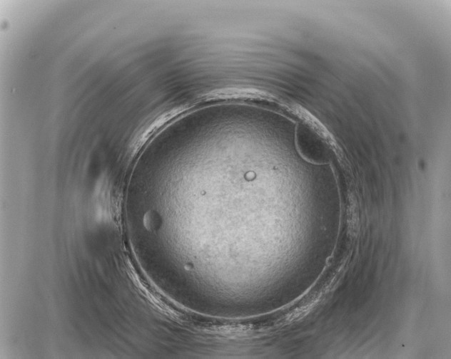 X0000087550937200705041324