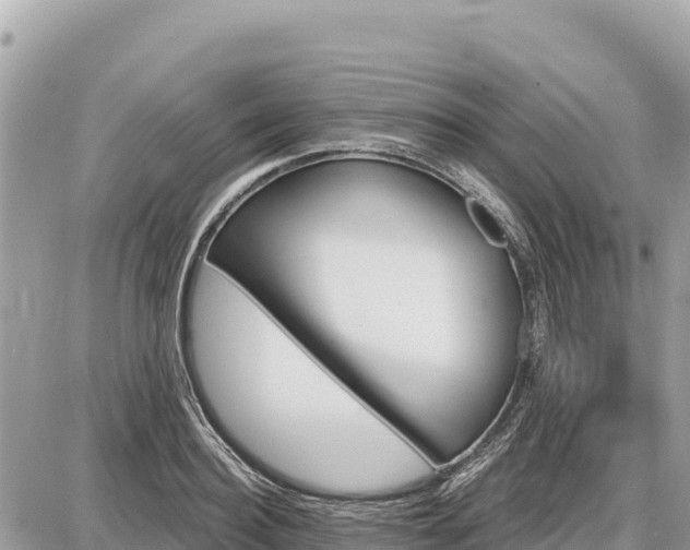 X0000087550940200705041324