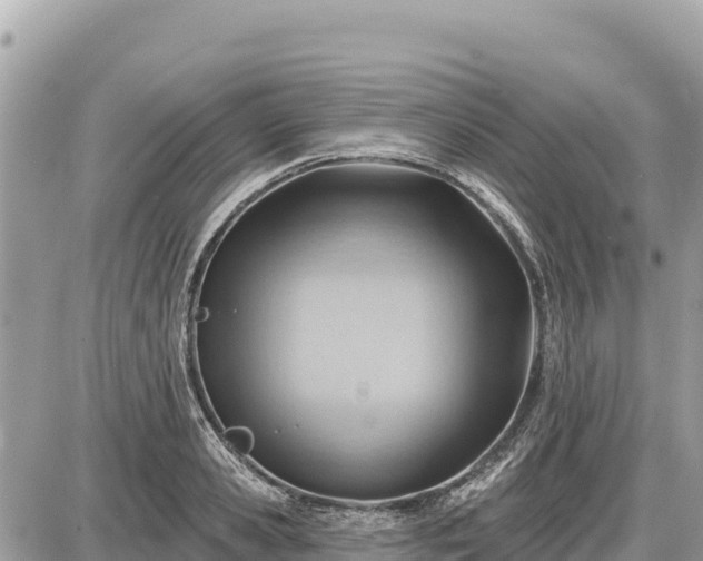 X0000087550941200705041324