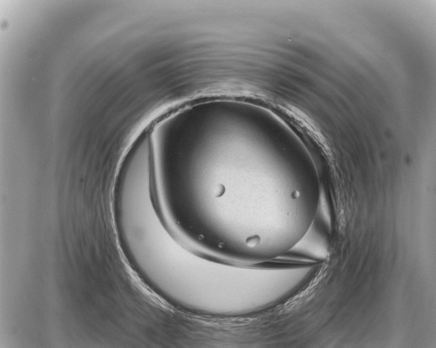 X0000087550942200705041324