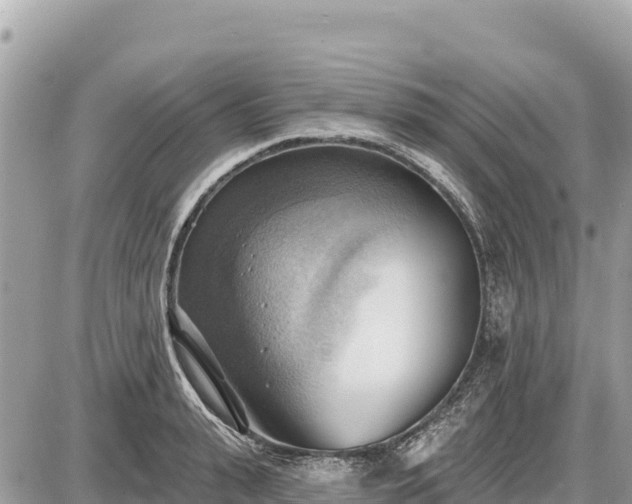 X0000087550943200705041324