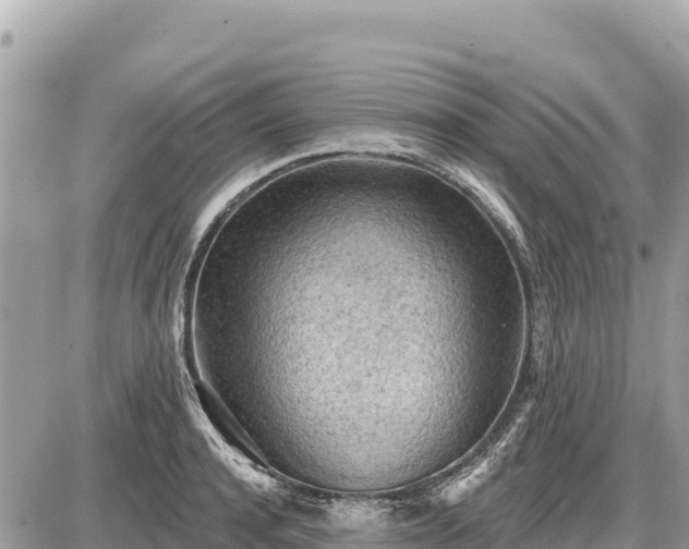 X0000087550944200705041324