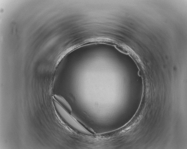 X0000087550945200705041324