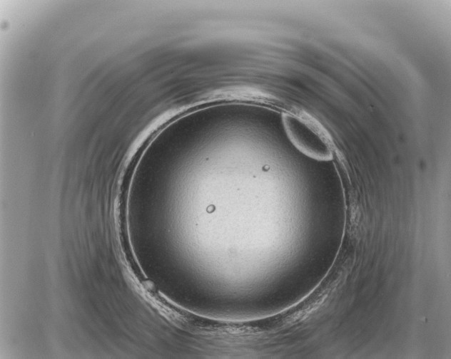 X0000087550947200705041324