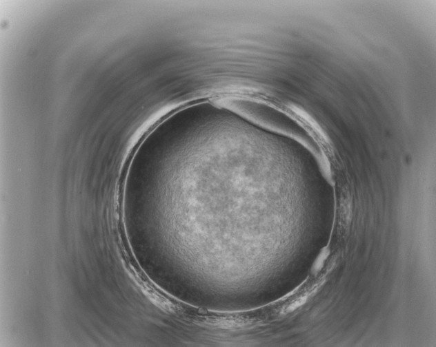 X0000087550948200705041324