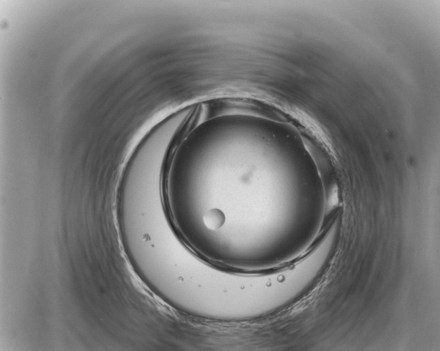 X0000087550950200705041324