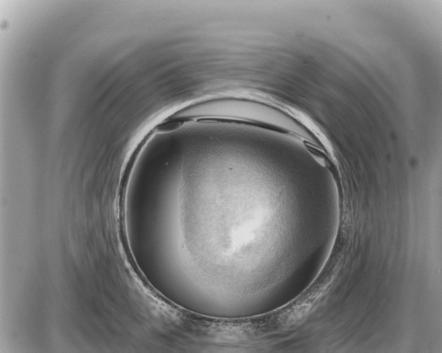 X0000087550951200705041324