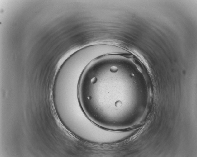 X0000087550952200705041324