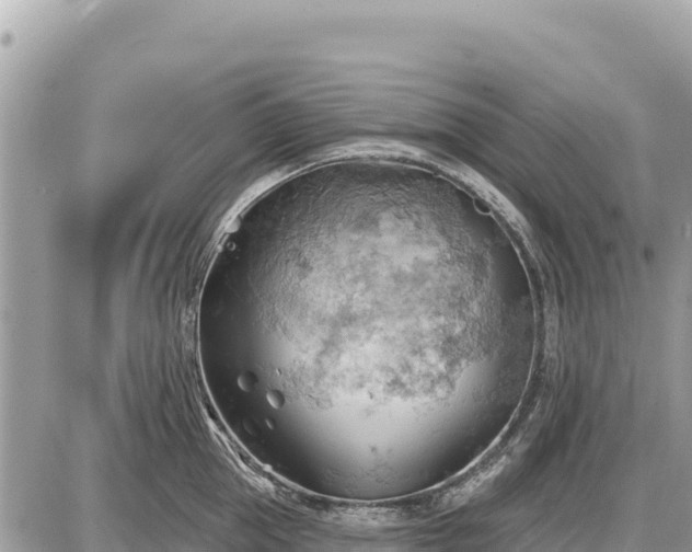 X0000087550953200705041324