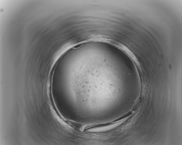 X0000087550955200705041324