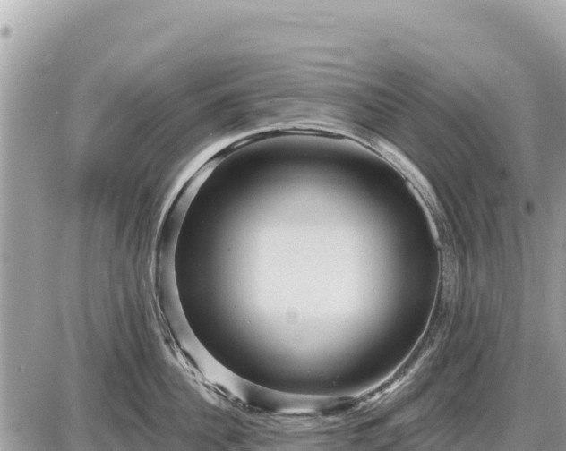 X0000087550956200705041324