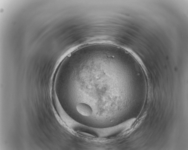 X0000087550957200705041324