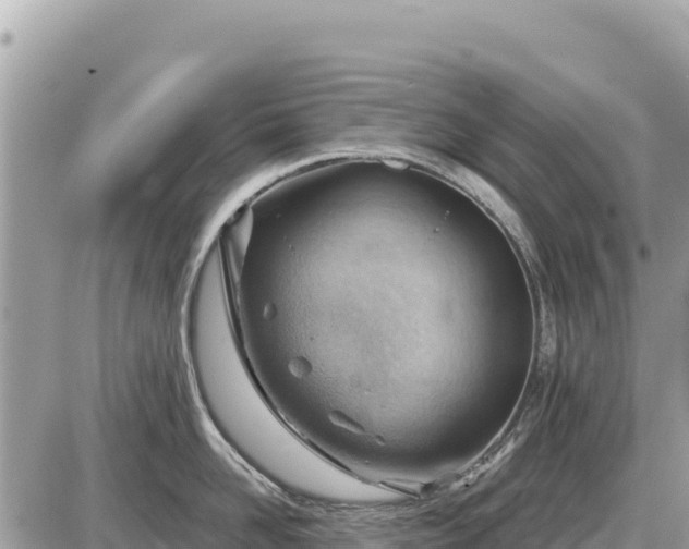 X0000087550958200705041325