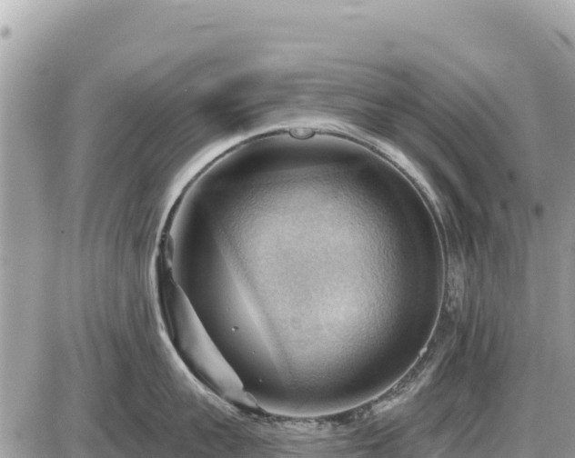 X0000087550959200705041325