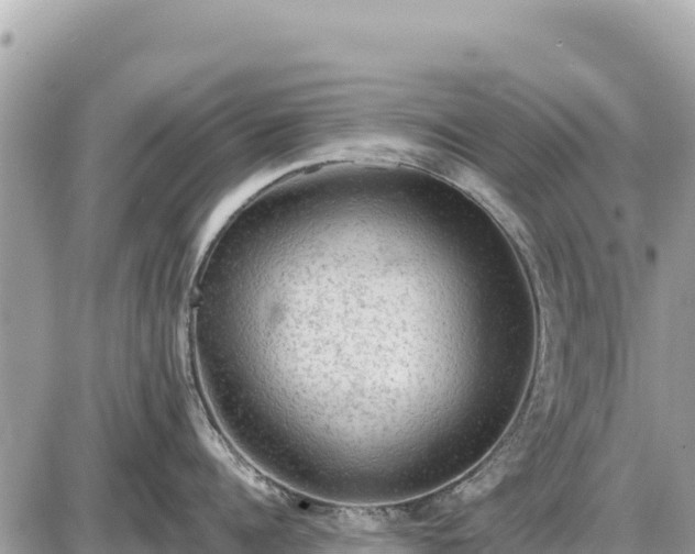 X0000087550960200705041325