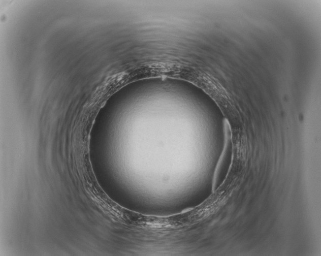 X0000087550961200705041324