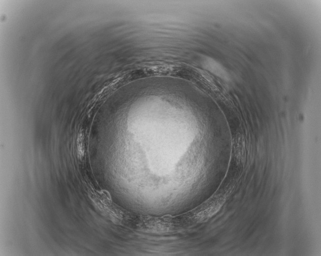 X0000087550962200705041324