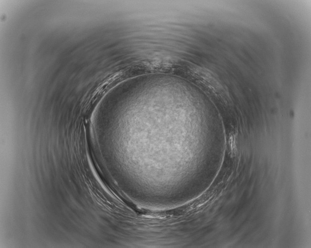 X0000087550963200705041324