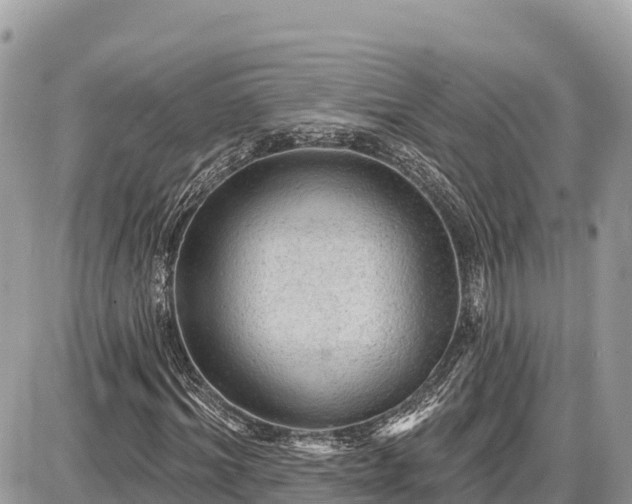 X0000087550964200705041324