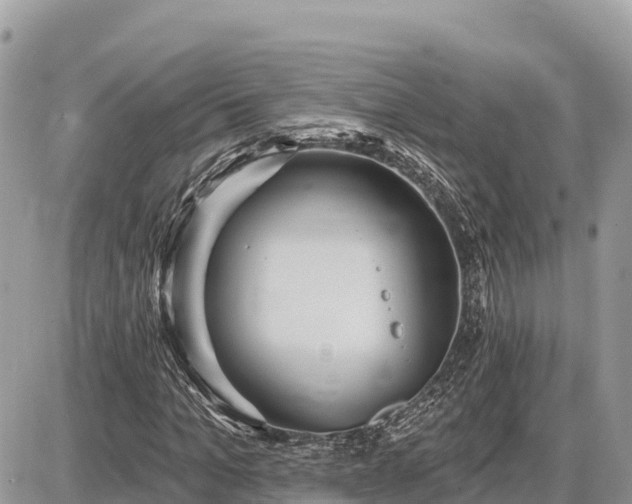 X0000087550965200705041324