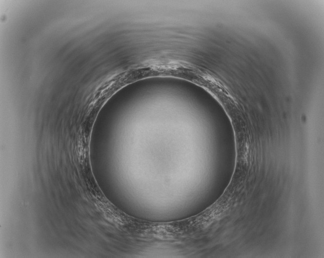 X0000087550966200705041324