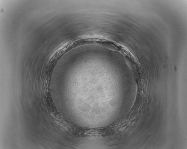 X0000087550967200705041324