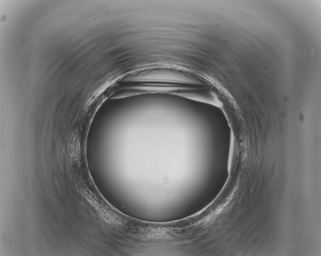 X0000087550969200705041324