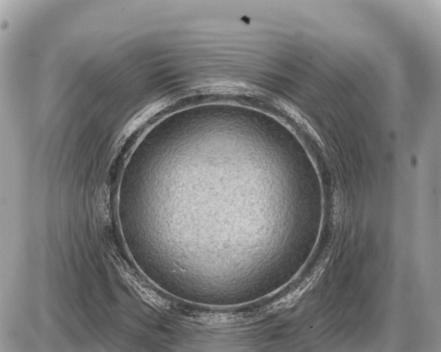 X0000087550970200705041324