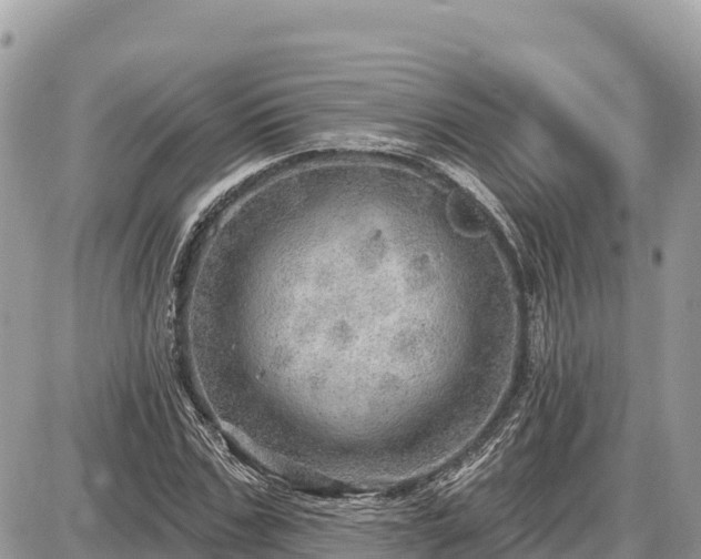 X0000087550971200705041324