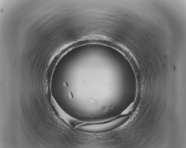 X0000087550973200705041324