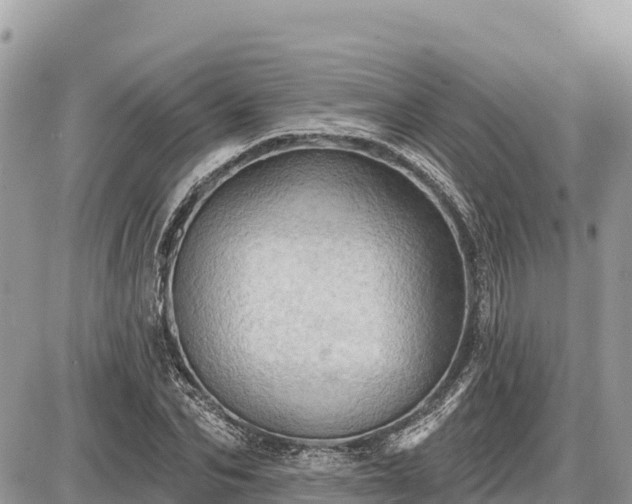 X0000087550974200705041324