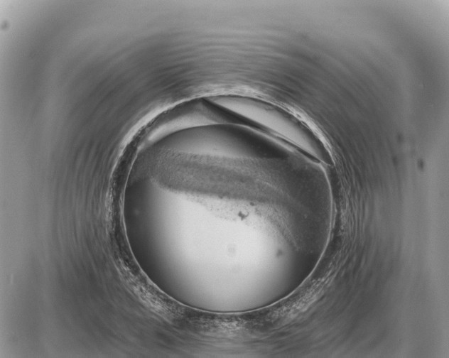 X0000087550975200705041324