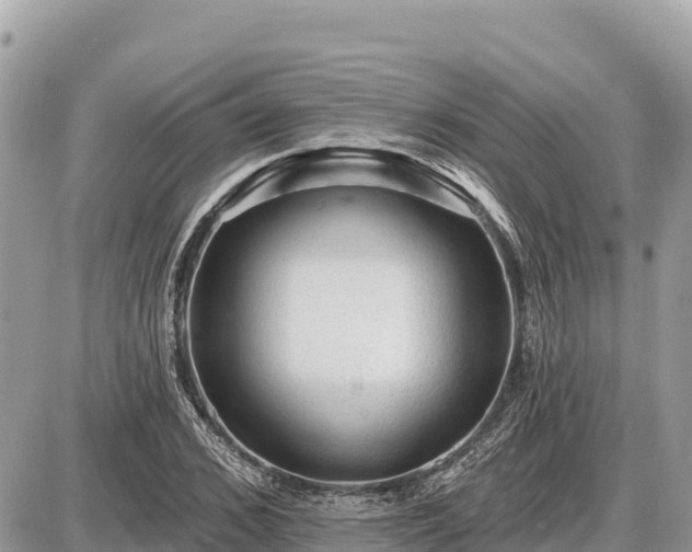 X0000087550976200705041324