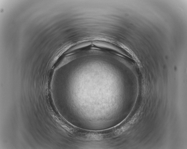 X0000087550977200705041323