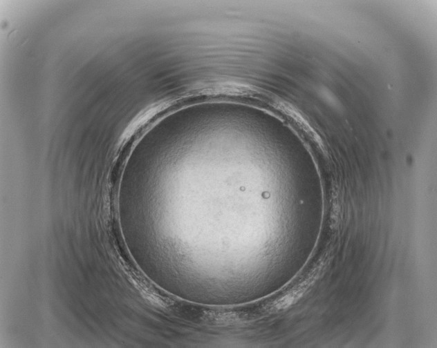 X0000087550978200705041323