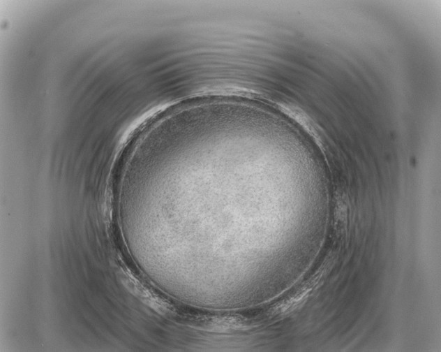 X0000087550979200705041323