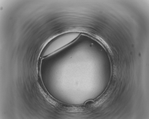 X0000087550980200705041323