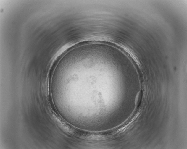 X0000087550982200705041323