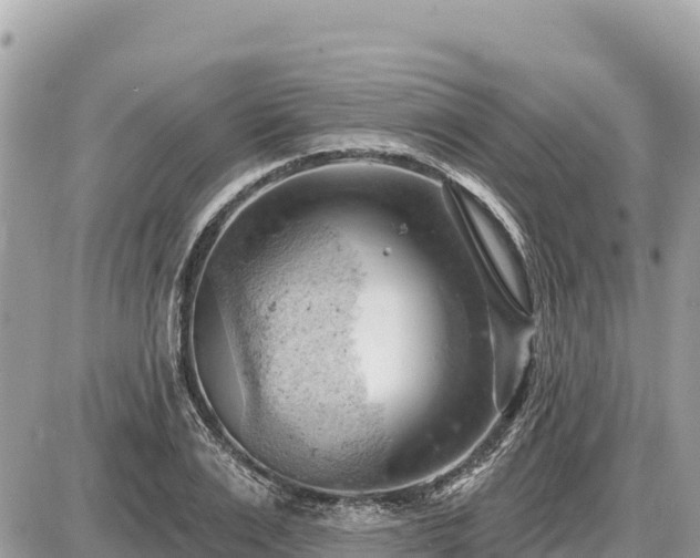 X0000087550983200705041323