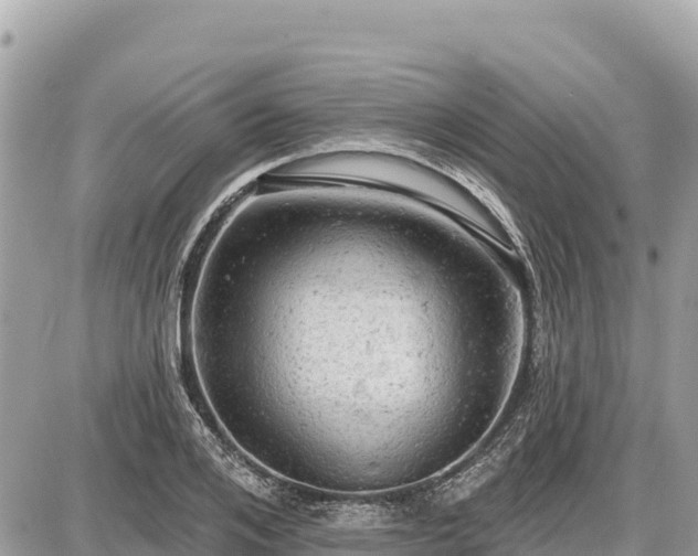 X0000087550984200705041323