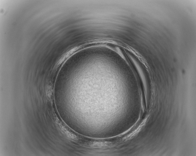 X0000087550985200705041323